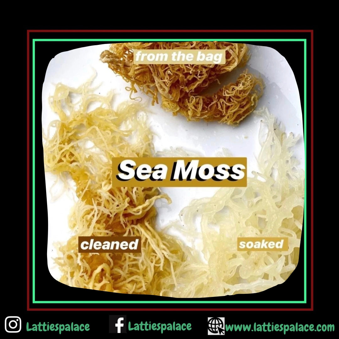 Irish Sea Moss-Raw Wildcrafted Caribbean Sea Moss – 100% Natural & Sun-Dried