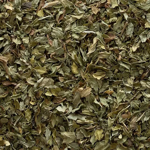 Organic Spearmint Leaf Teabags| Mentha spicata