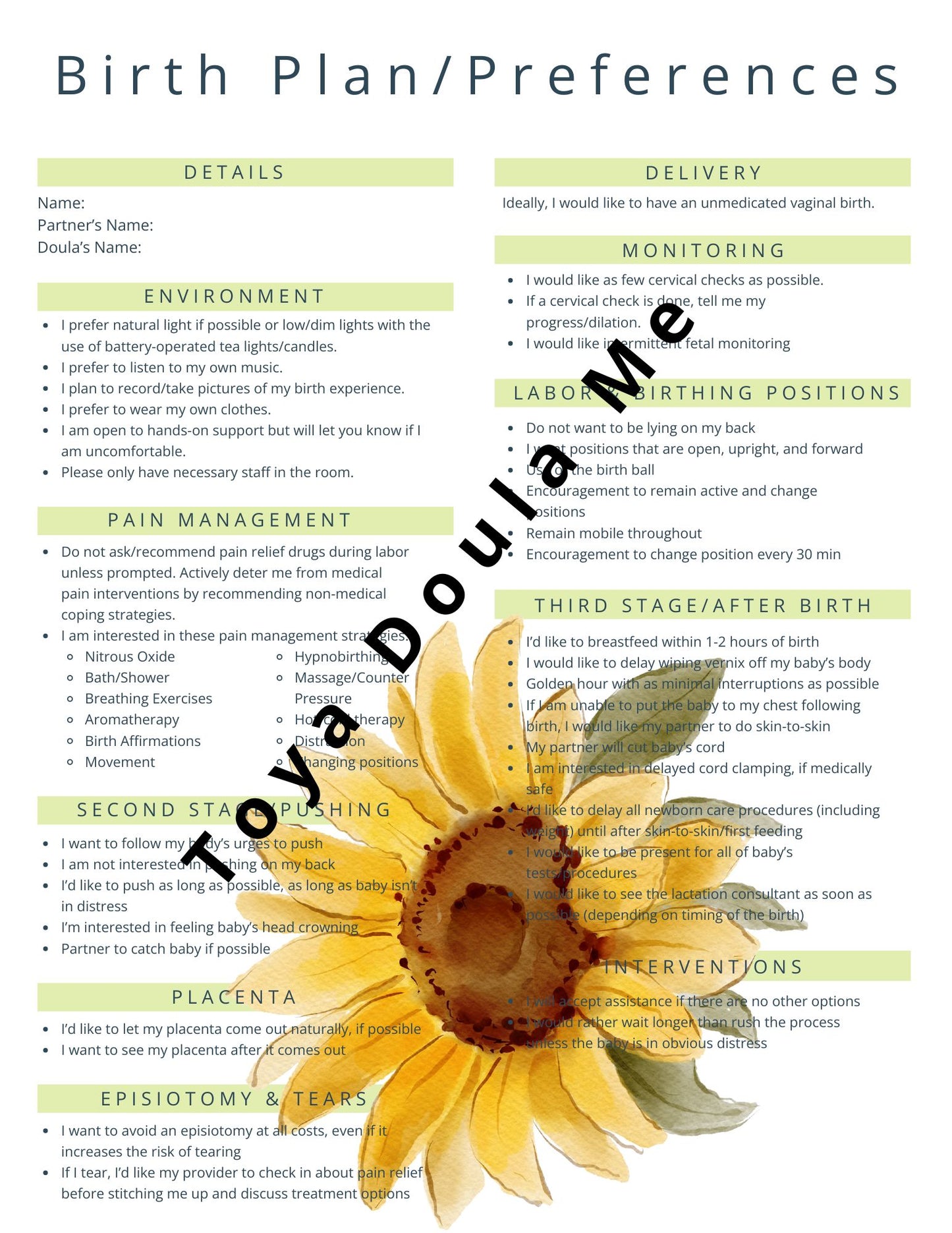 One page Birth plan/ preferences (digital download) Printable Birth Plan Template