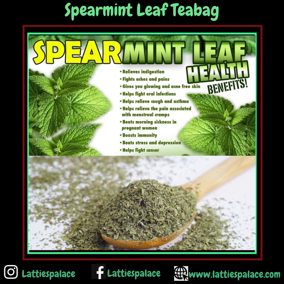 Organic Spearmint Leaf Teabags| Mentha spicata