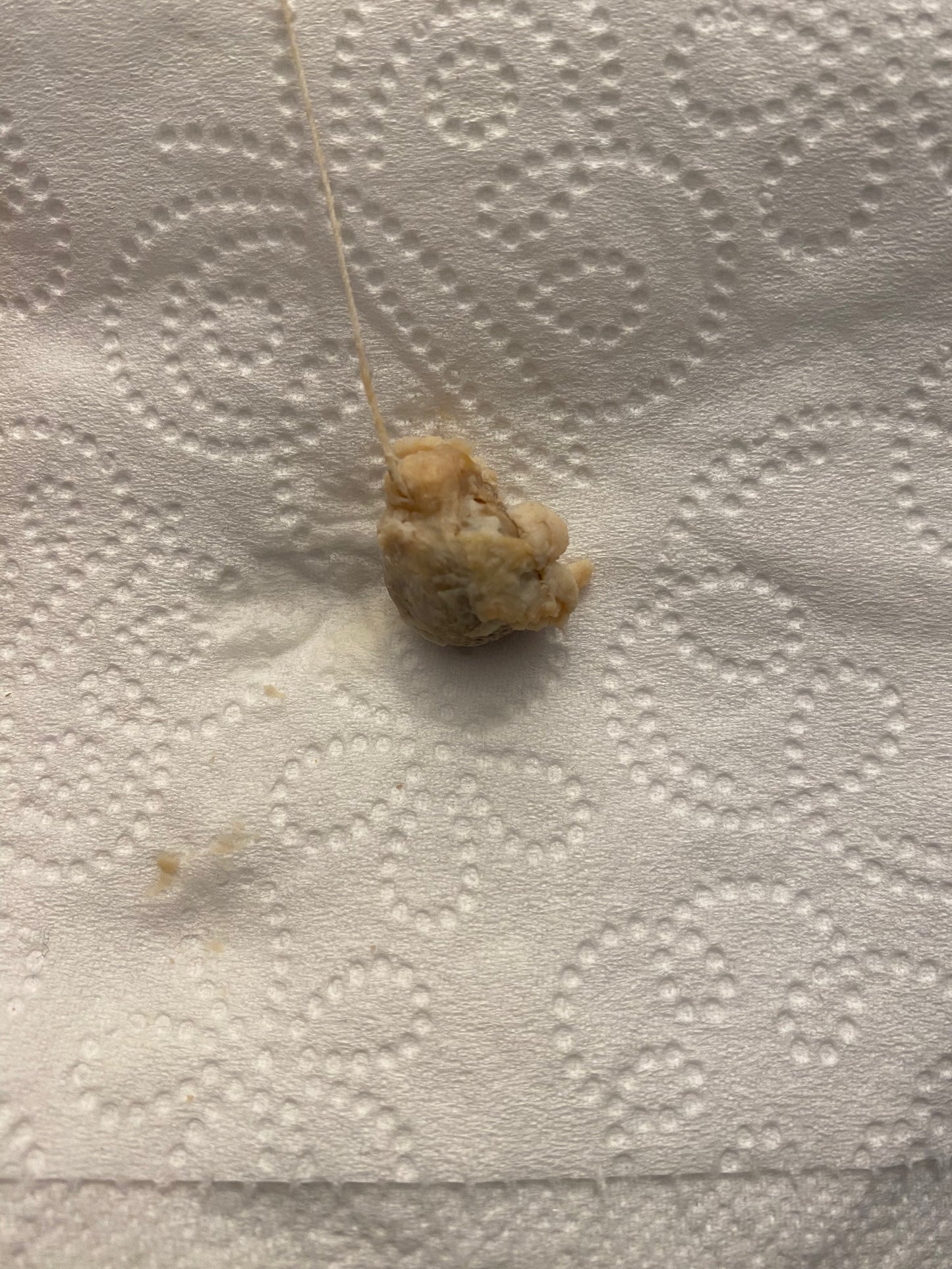 Vaginal/Yoni Detox Pearls