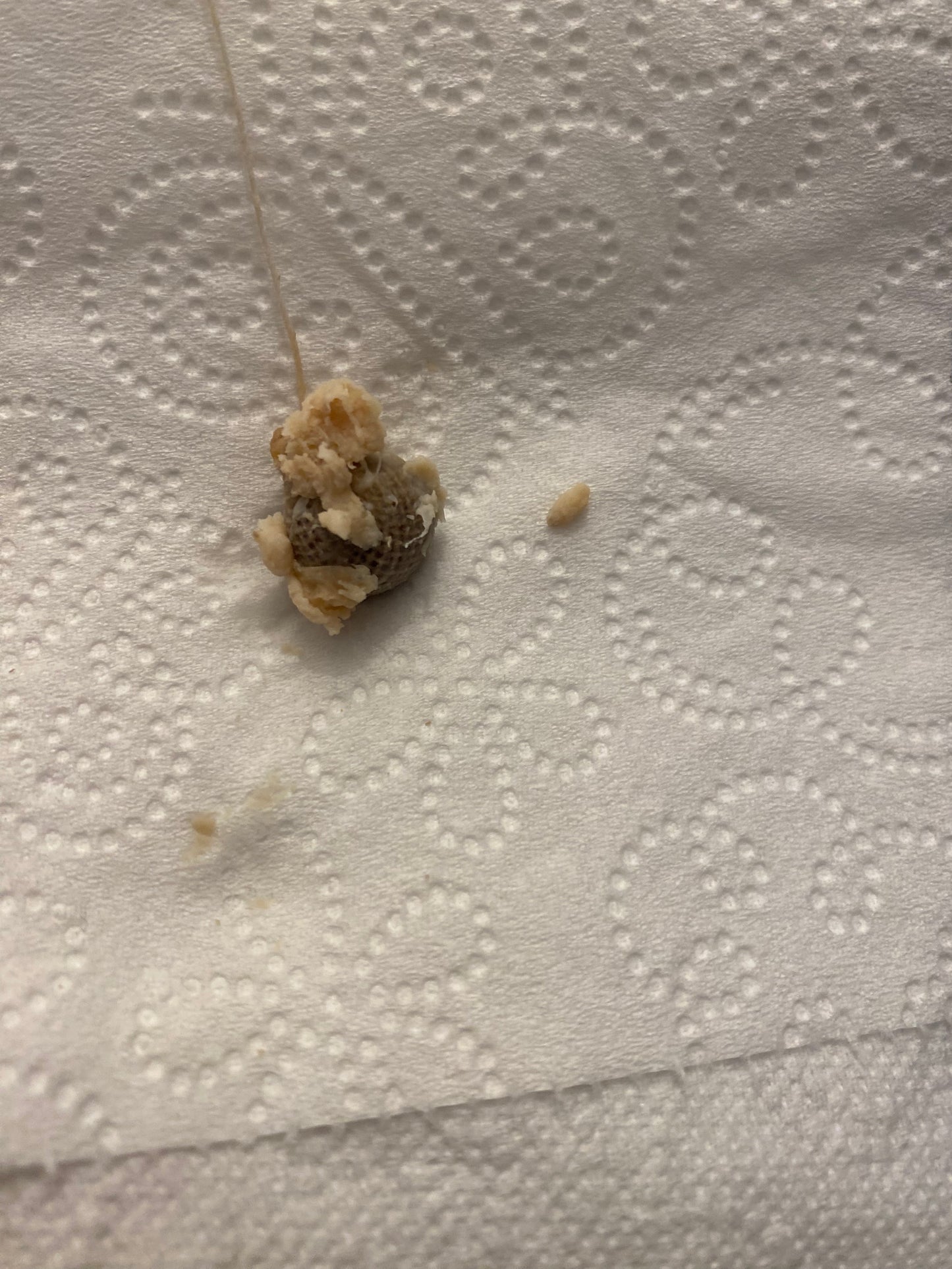 Vaginal/Yoni Detox Pearls
