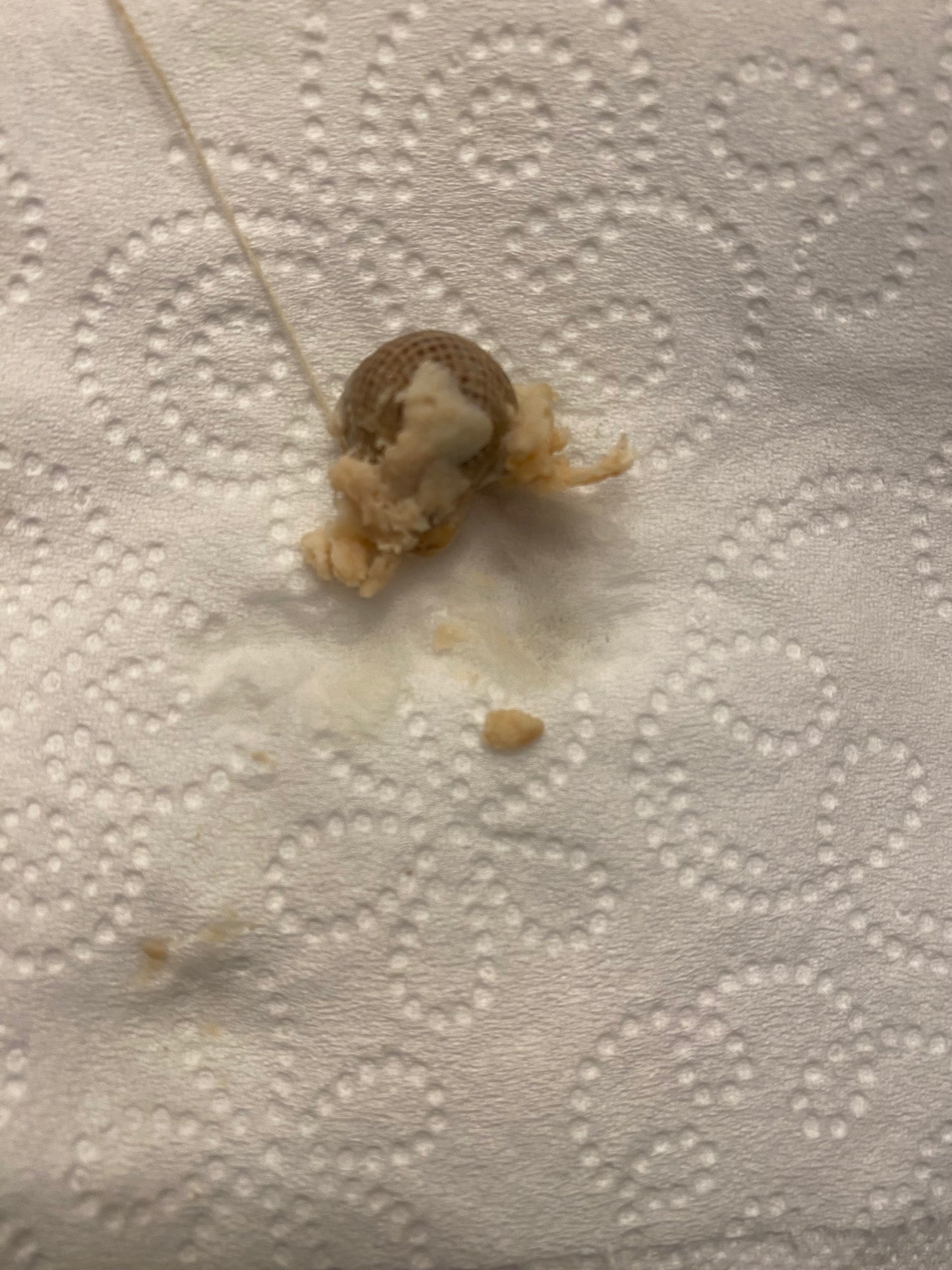 Vaginal/Yoni Detox Pearls