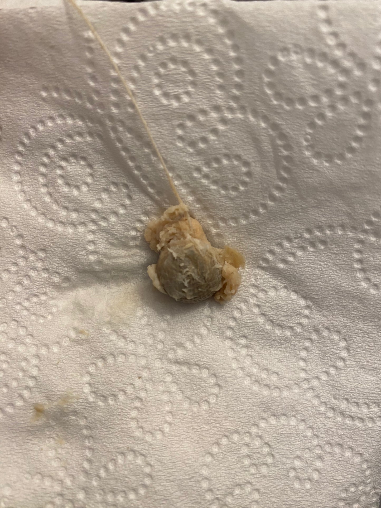 Vaginal/Yoni Detox Pearls