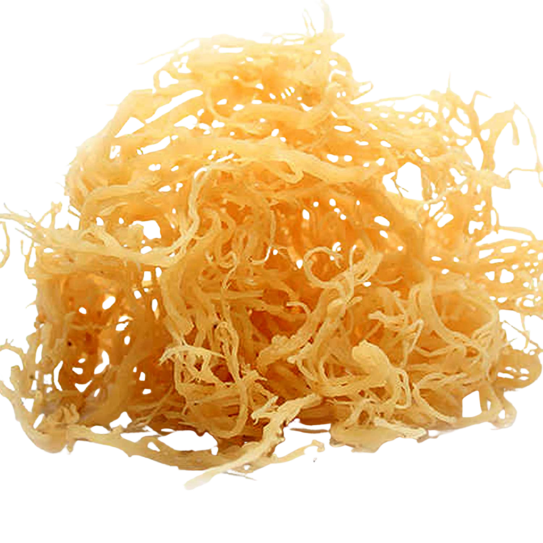 Irish Sea Moss-Raw Wildcrafted Caribbean Sea Moss – 100% Natural & Sun-Dried