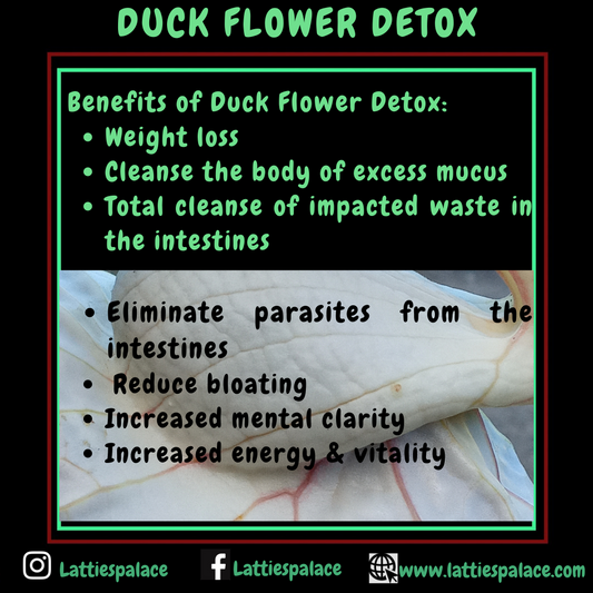 Dried Jamaican Duck Flower Detox