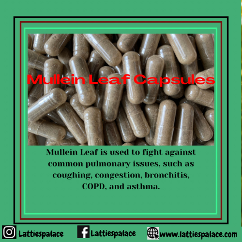 Mullein Leaf Capsules
