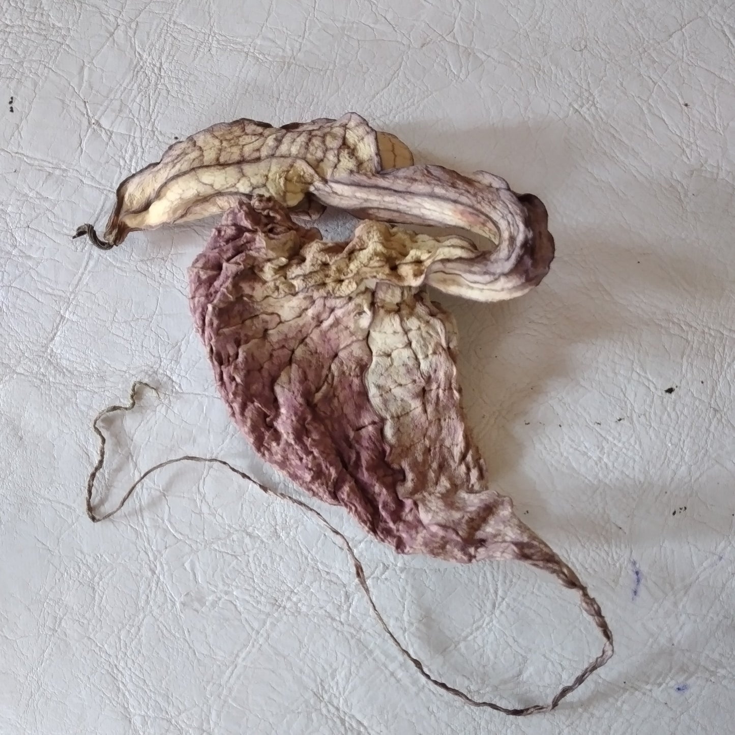 Dried Jamaican Duck Flower Detox - LattiesPalace
