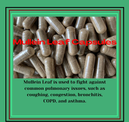 Mullien Leaf Capsules - Stretchmarksbegone