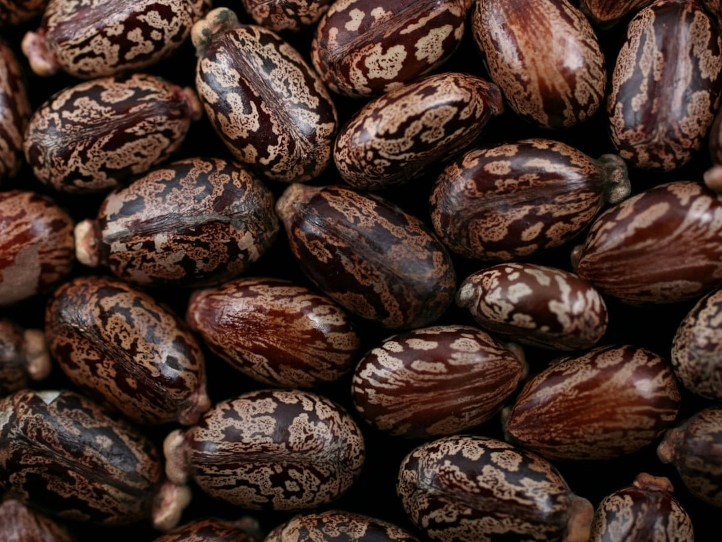 100% Raw Unrefined Black Jamaican Castor Oil