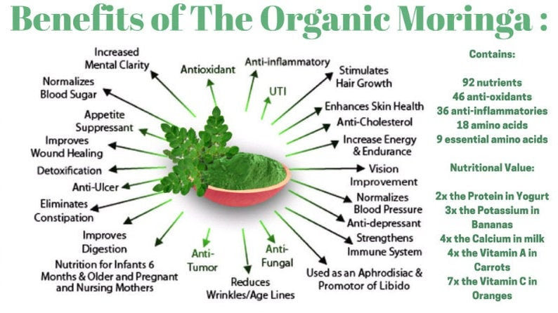 Organic Moringa Oleifera Seeds, Moringaceae, GMO Free - Stretchmarksbegone
