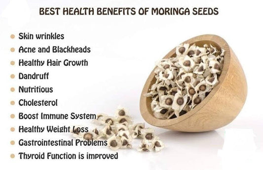 Organic Moringa Oleifera Seeds, Moringaceae, GMO Free - Stretchmarksbegone