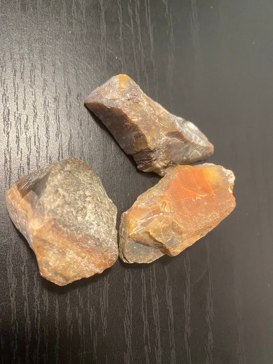 Petrified Wood Raw Gemstones - Stretchmarksbegone