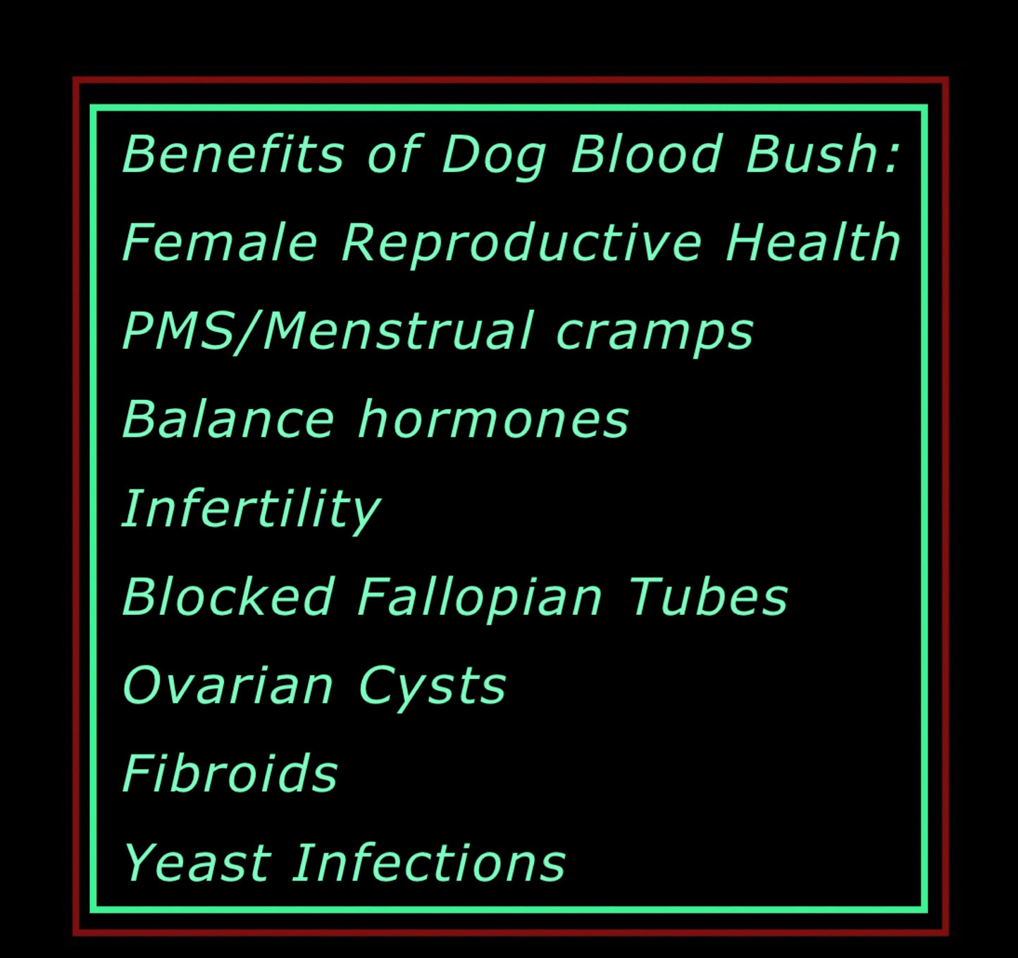 Dog Blood Bush Herbs (fertility Bush)-Rivina Humilis - LattiesPalace