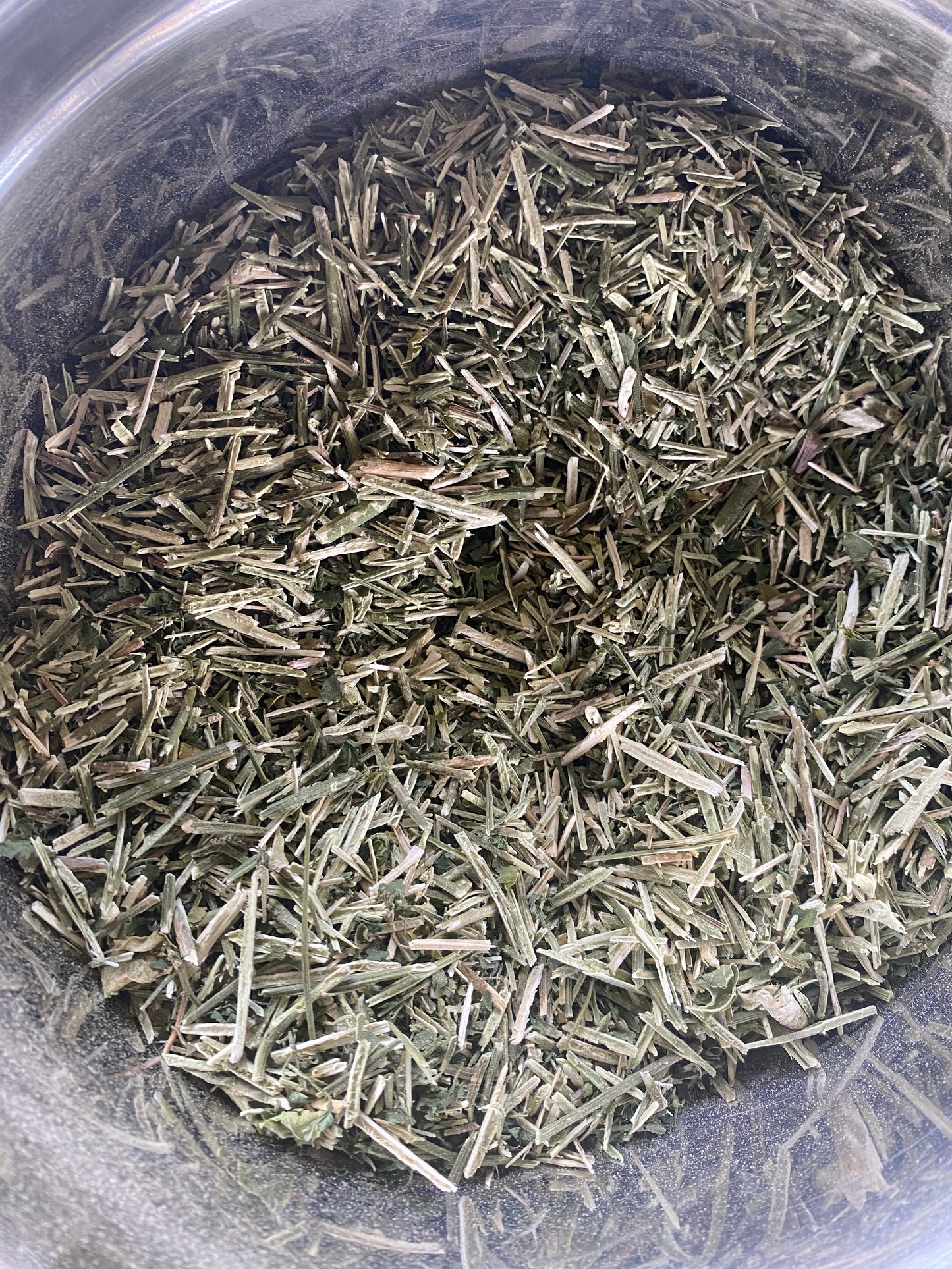 Dog Blood Bush Herbs (fertility Bush)-Rivina Humilis