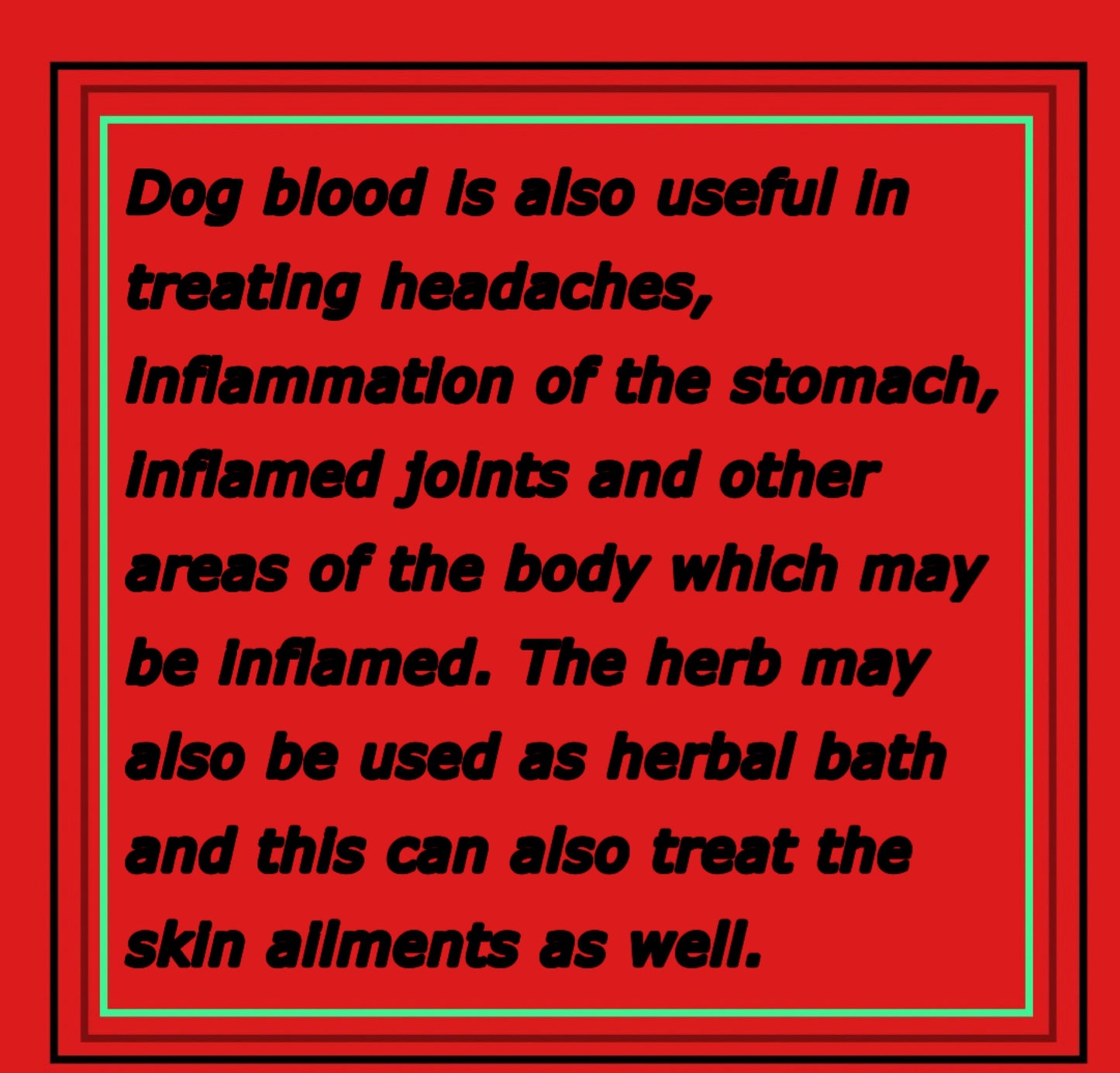 Dog Blood Bush Herbs (fertility Bush)-Rivina Humilis - LattiesPalace