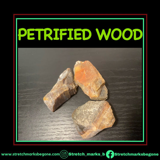 Petrified Wood Raw Gemstones - Stretchmarksbegone