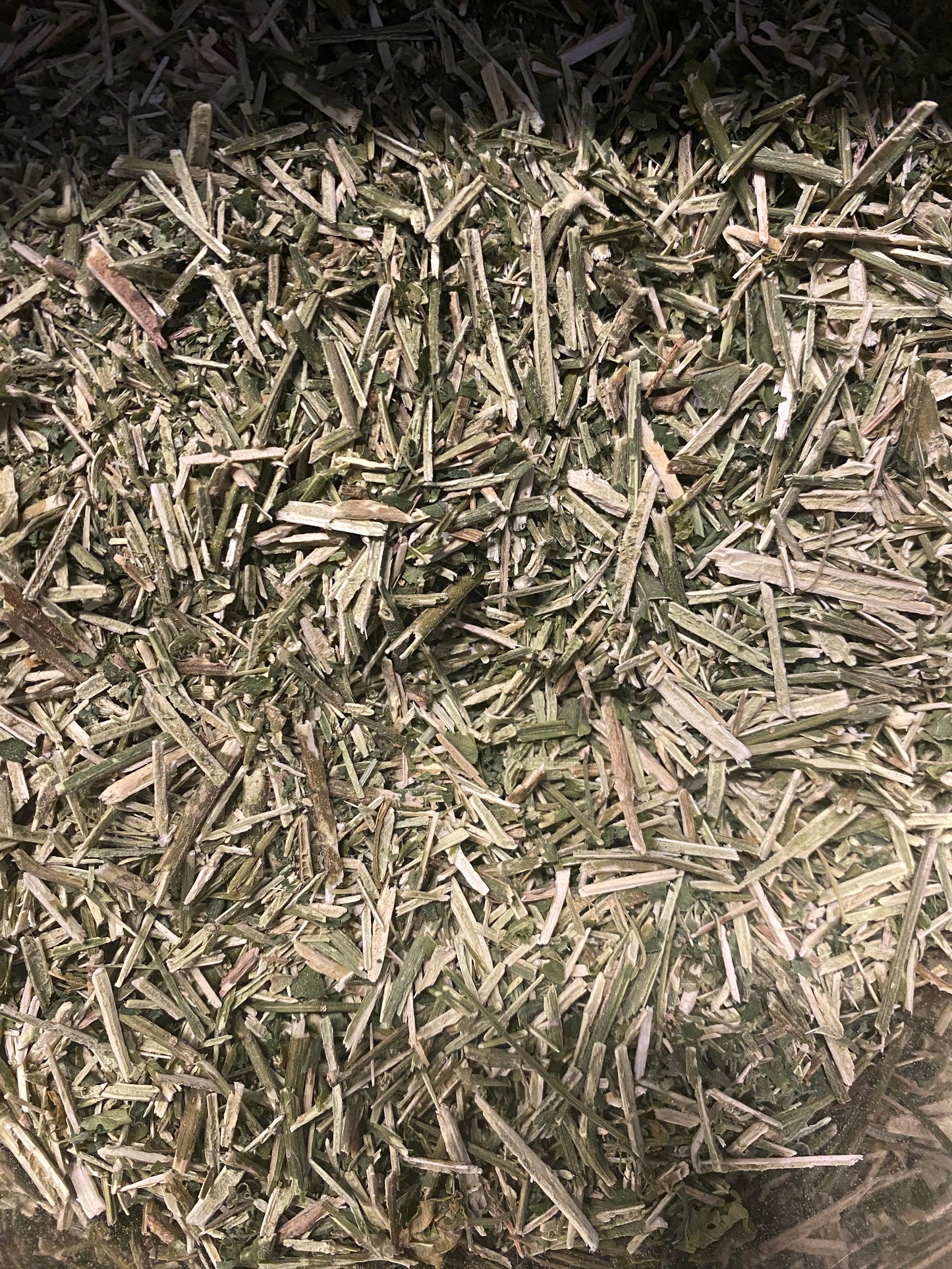 Dog Blood Bush Herbs (fertility Bush)-Rivina Humilis