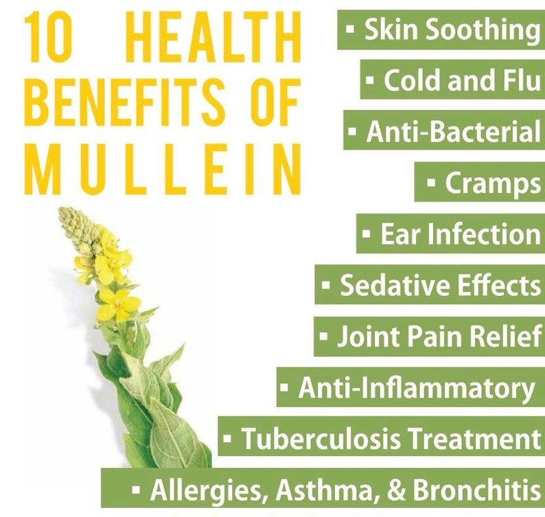 Mullien Leaf Capsules - Stretchmarksbegone