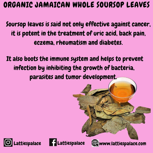 Organic Jamaican Whole SOURSOP LEAVES | Wildcrafted, Hand Picked & Air-Dried | Annona Muricata