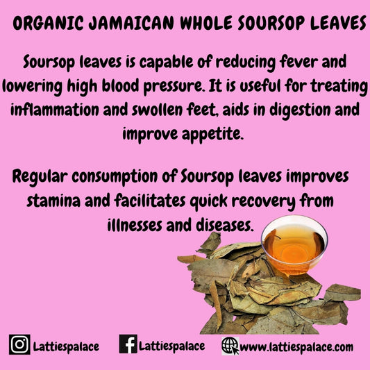 Organic Jamaican Whole SOURSOP LEAVES | Wildcrafted, Hand Picked & Air-Dried | Annona Muricata