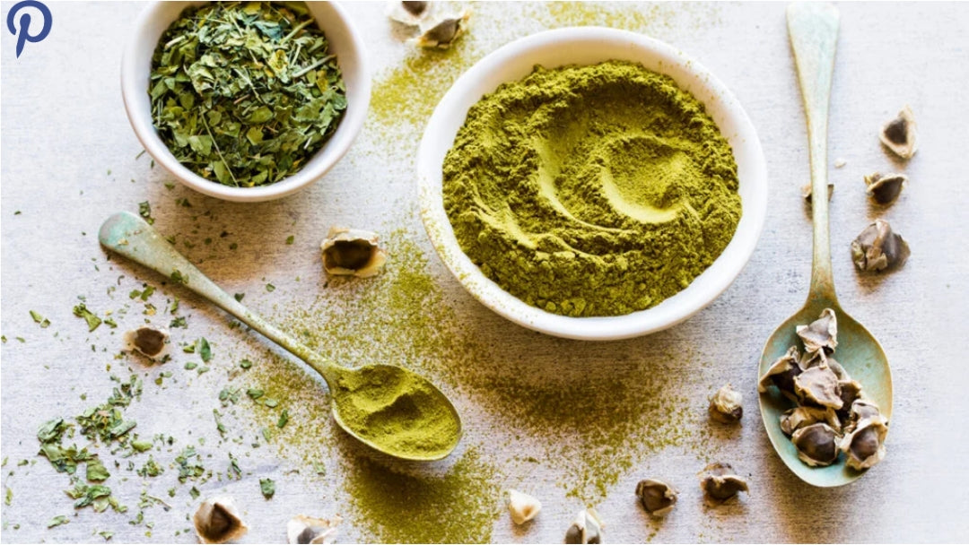 Organic Moringa Oleifera Seeds, Moringaceae, GMO Free